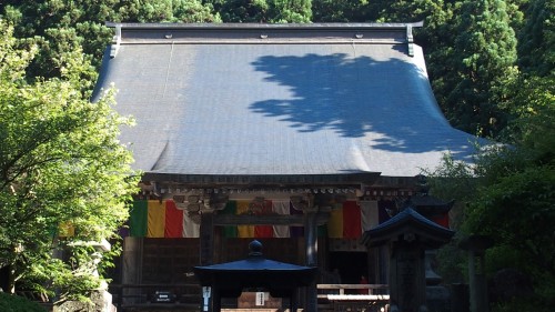 P8030022s.jpg