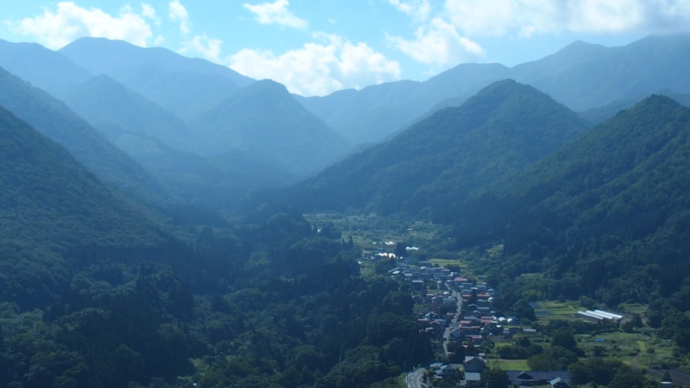 P8030040.jpg