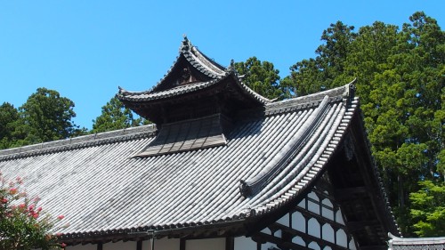 P8030081s.jpg