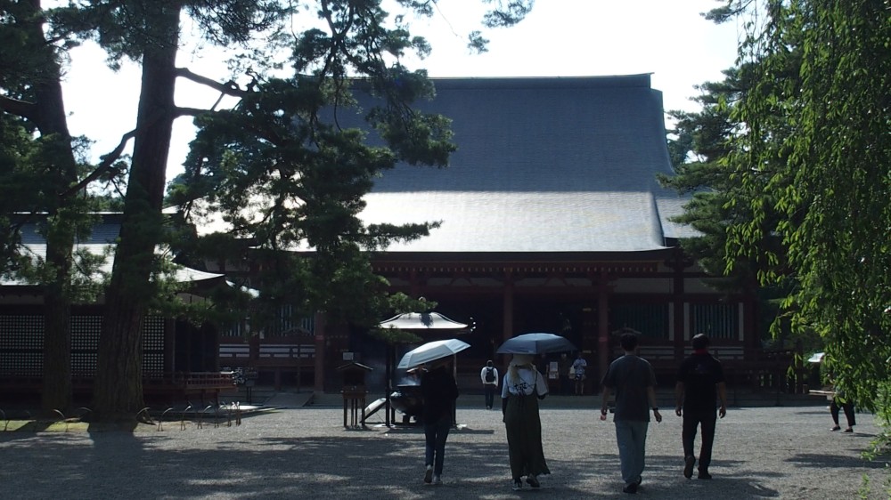 P8030091.jpg