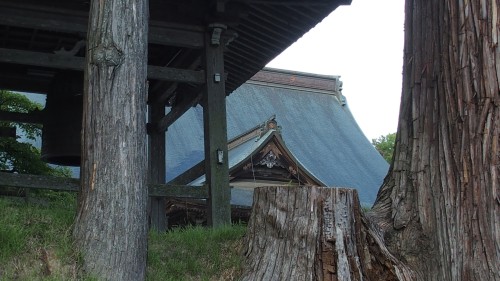P8030105s.jpg