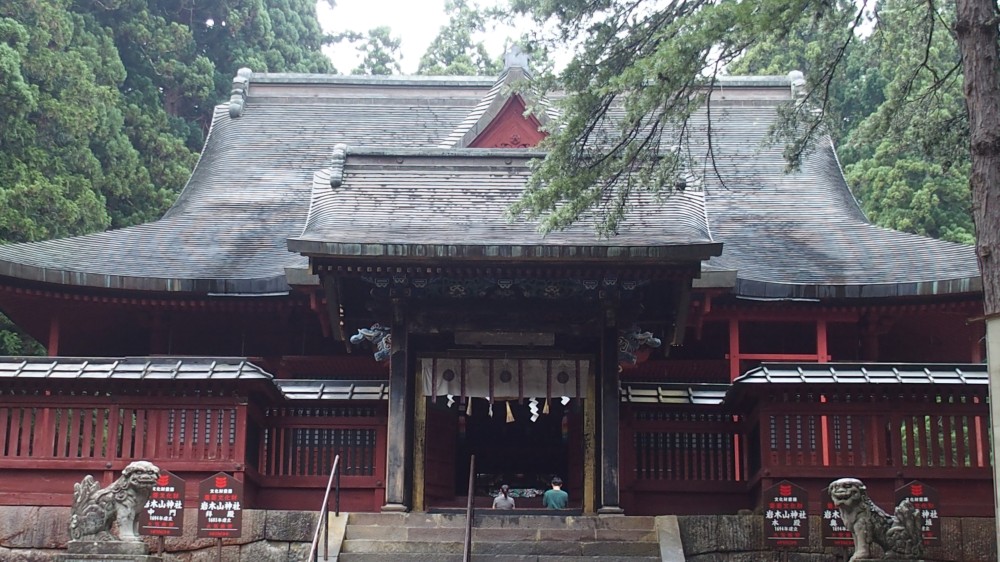 P8040144.jpg